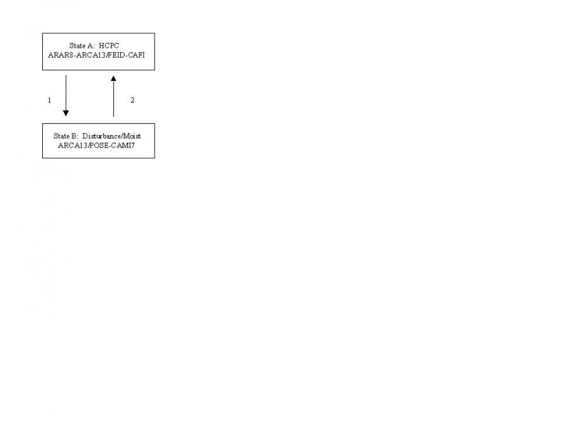 Model diagram