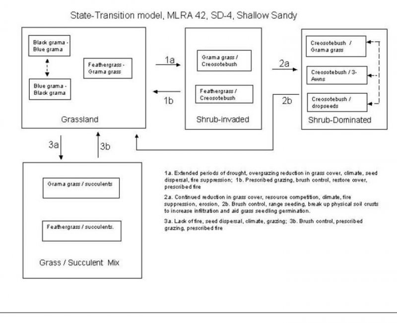 Model diagram