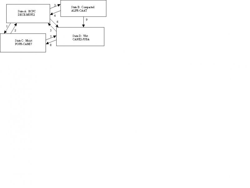 Model diagram