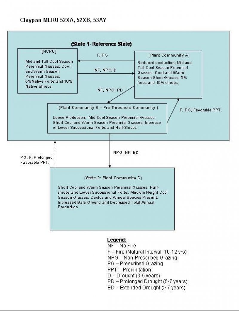 Model diagram
