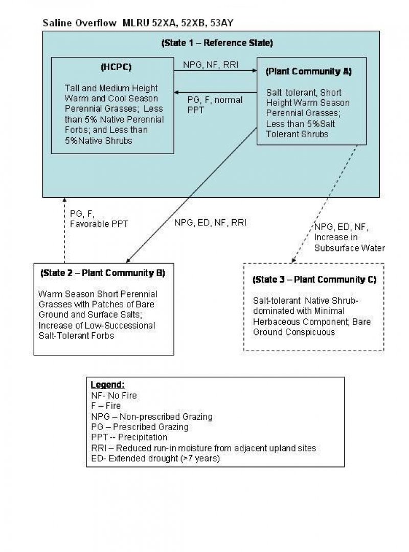Model diagram