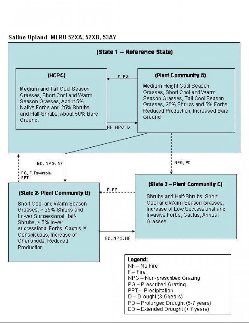 Model diagram