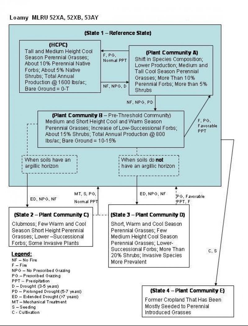Model diagram