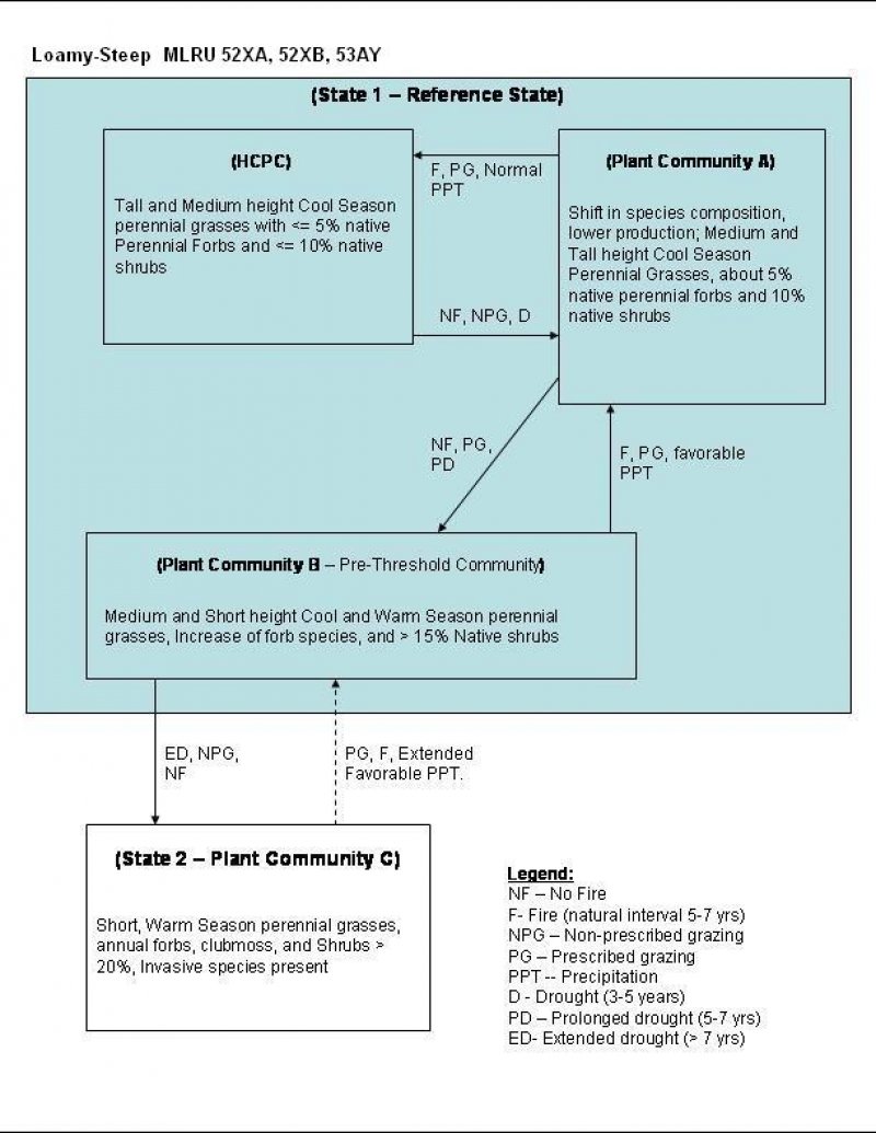 Model diagram