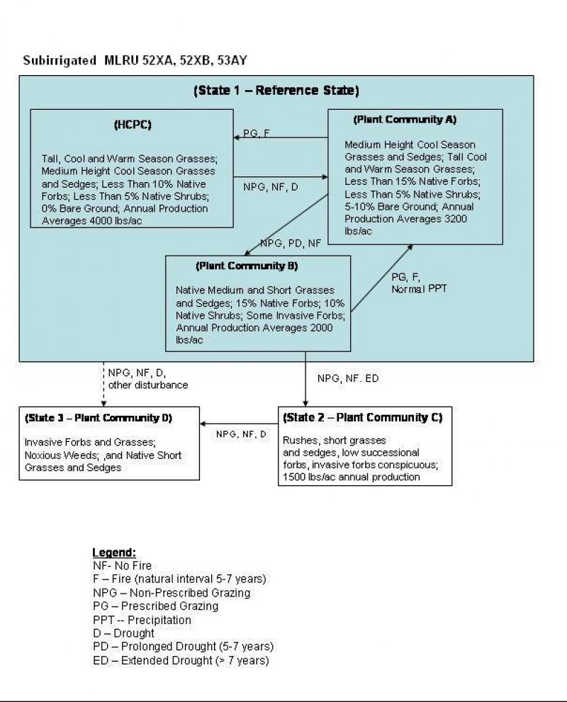 Model diagram