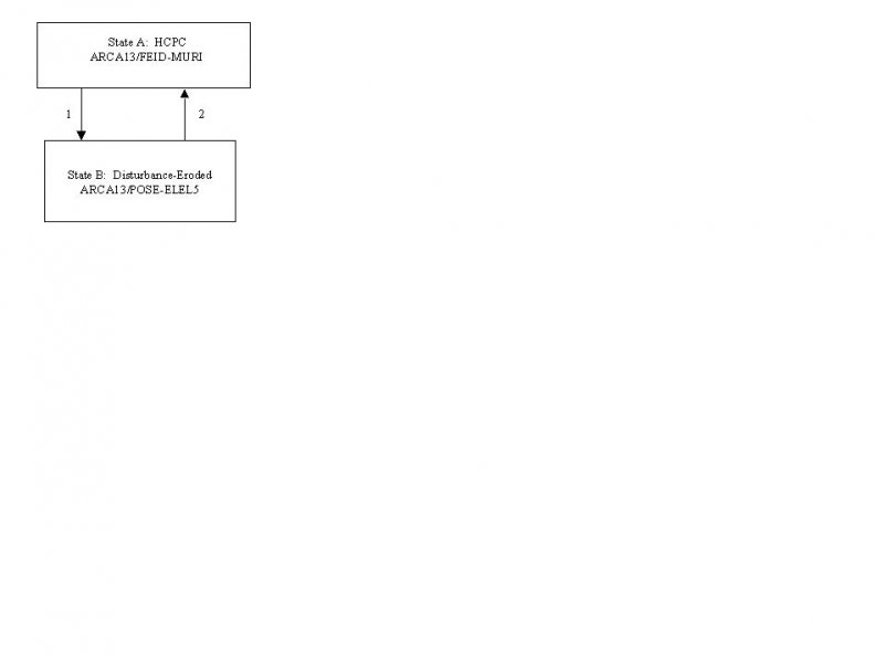 Model diagram