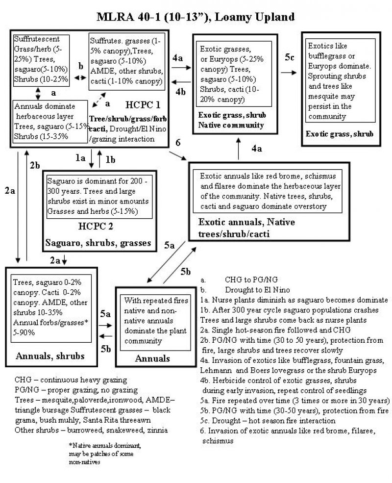 Model diagram