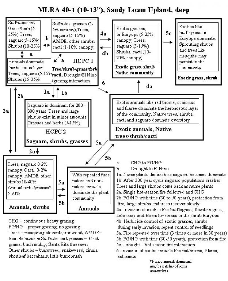 Model diagram