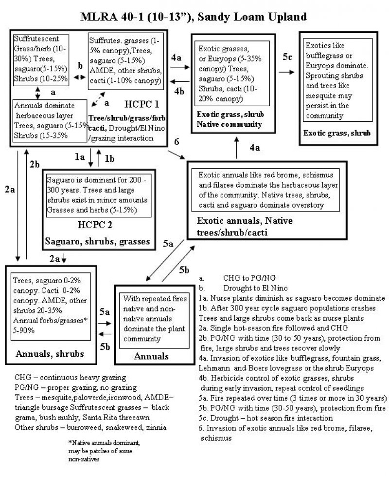 Model diagram