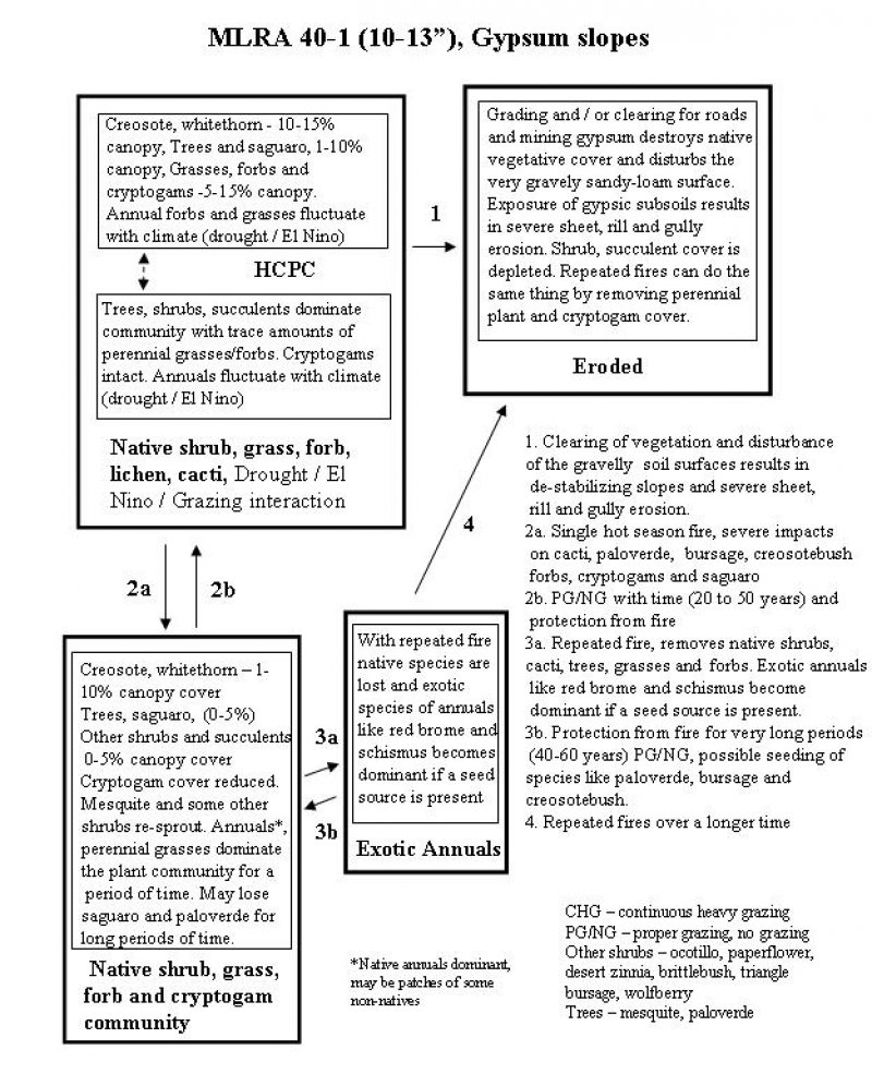 Model diagram