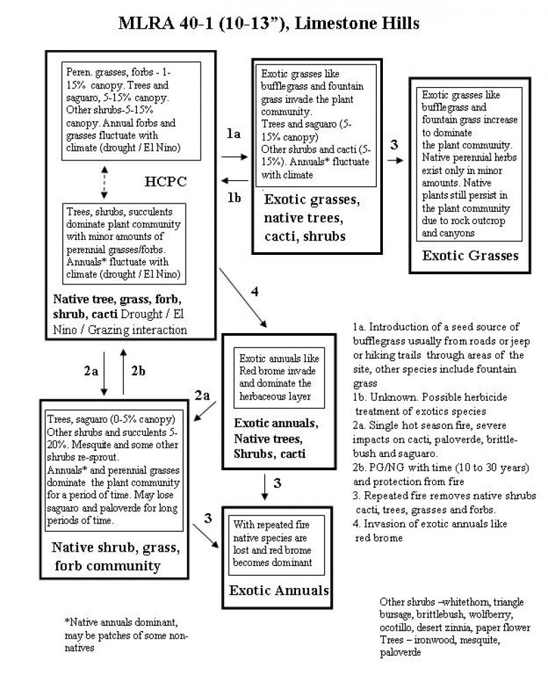 Model diagram