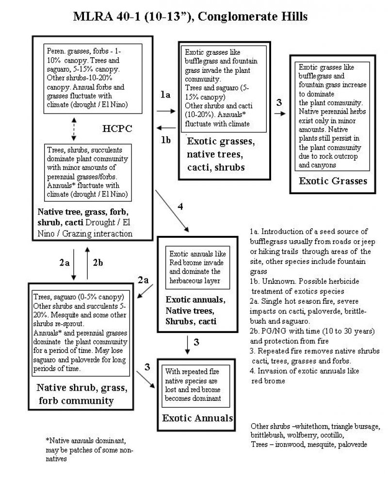 Model diagram