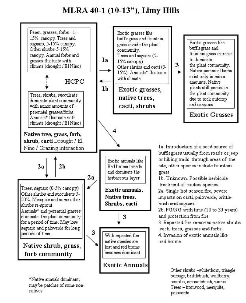 Model diagram