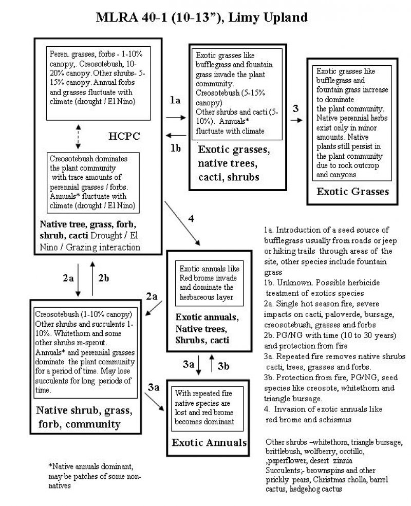 Model diagram