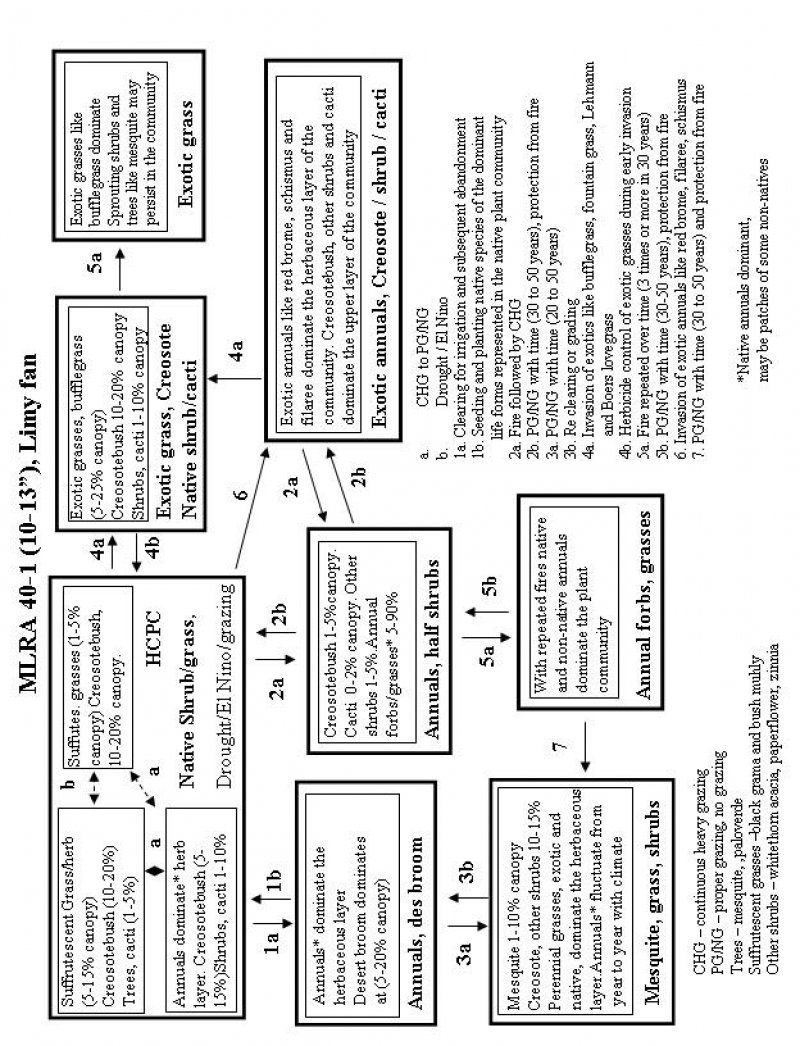 Model diagram