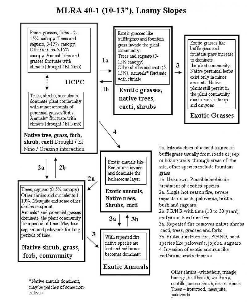 Model diagram