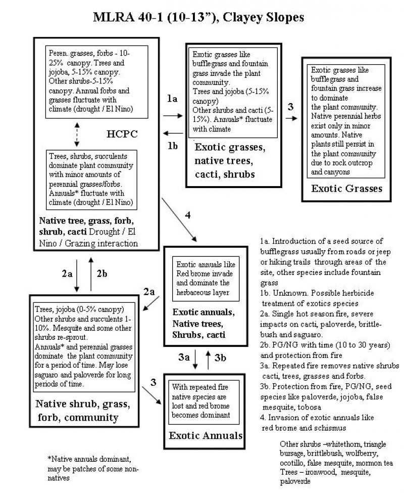 Model diagram