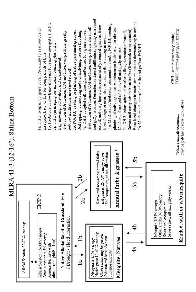 Model diagram