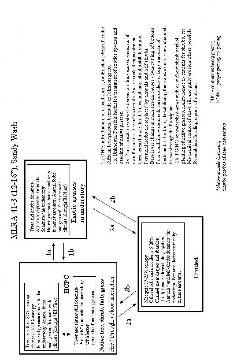 Model diagram