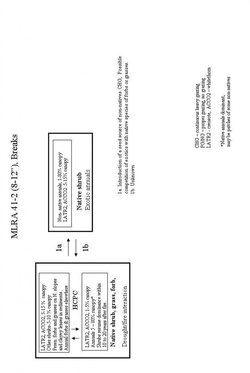 Model diagram