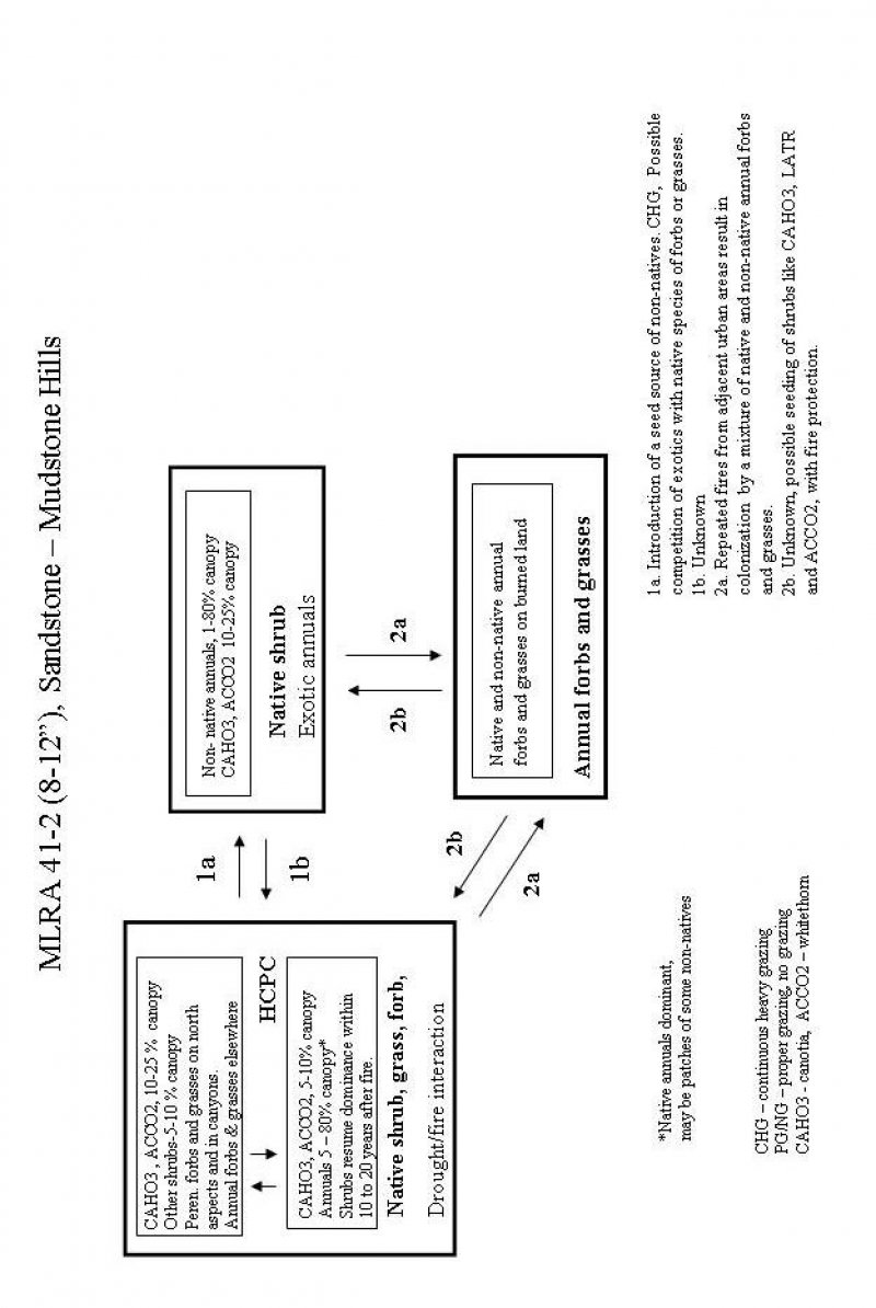 Model diagram