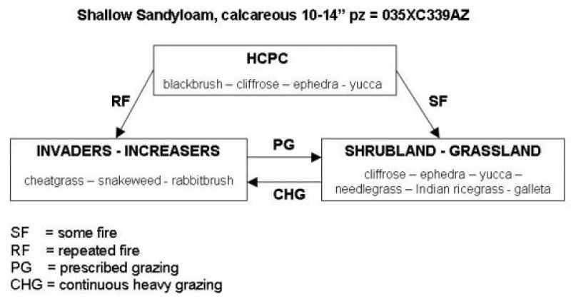 Model diagram