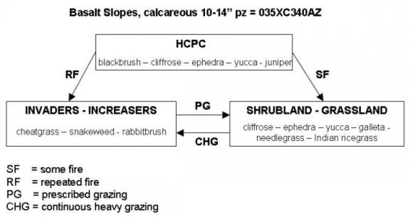 Model diagram