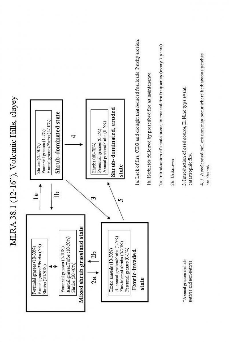 Model diagram