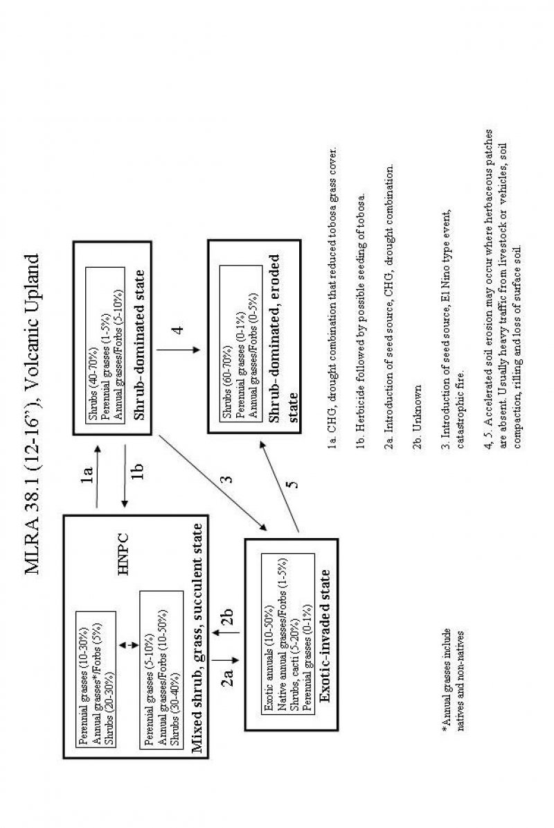 Model diagram