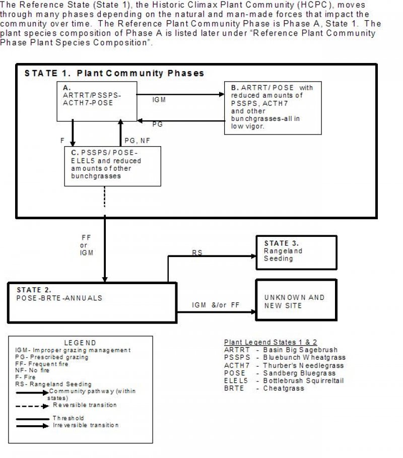 Model diagram