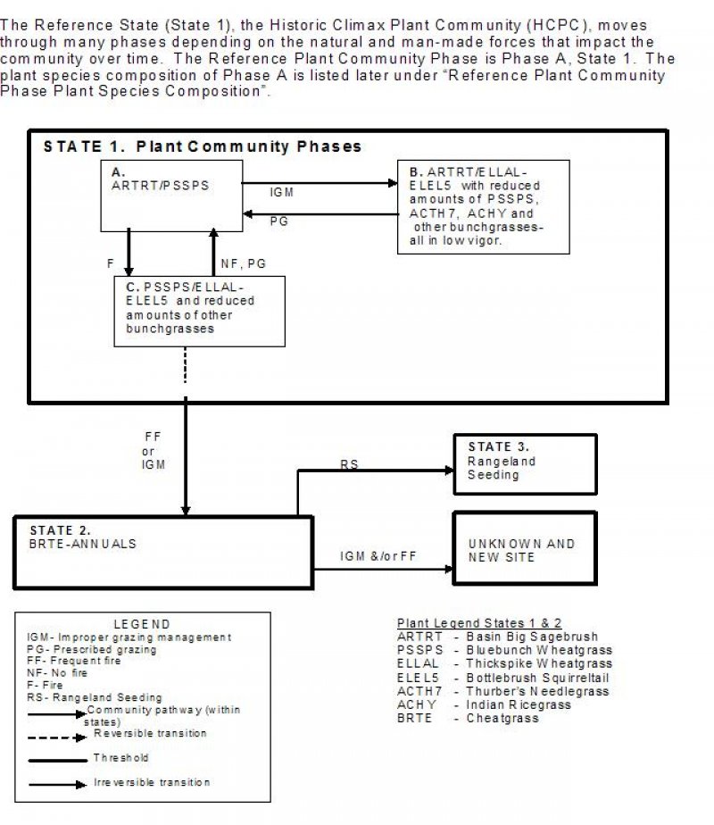 Model diagram