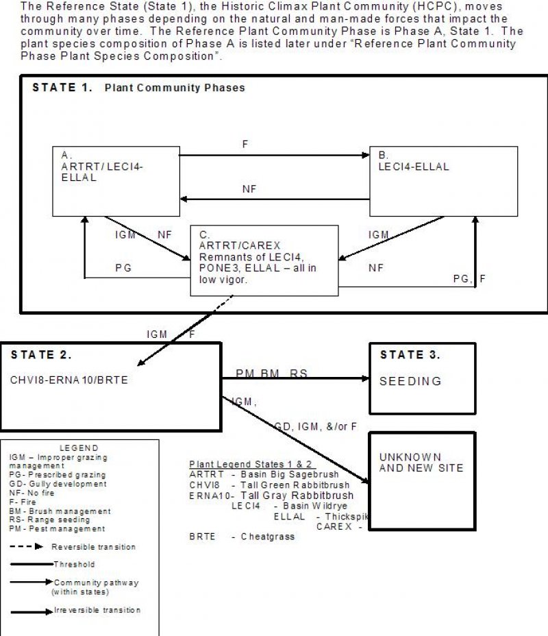 Model diagram
