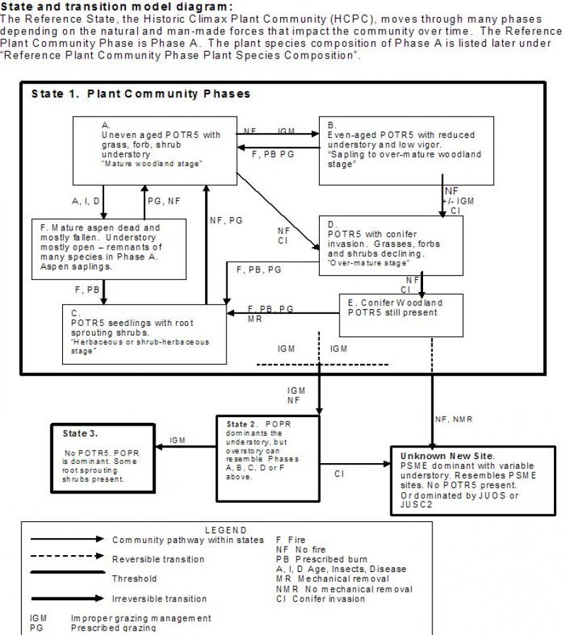 Model diagram