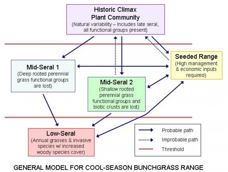 Model diagram