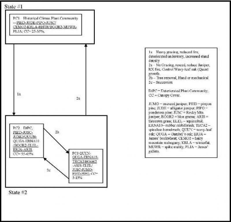 Model diagram