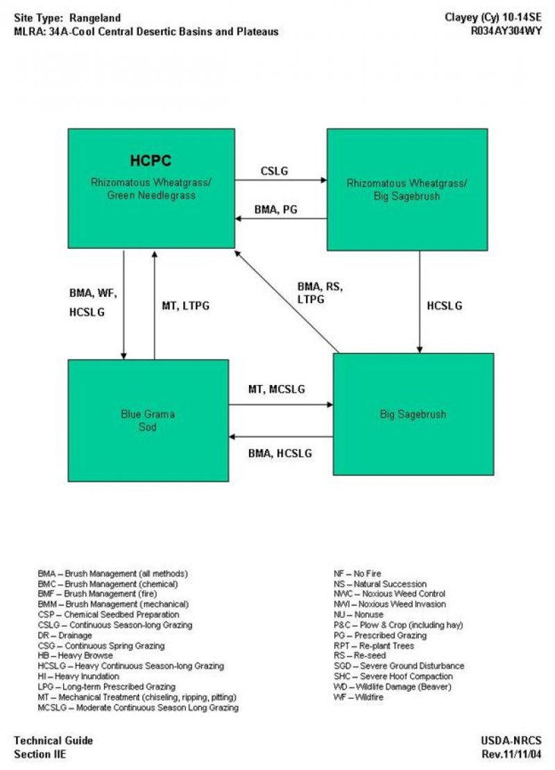 Model diagram