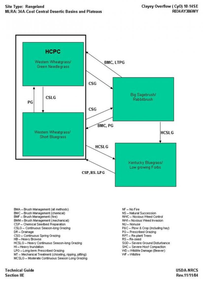 Model diagram