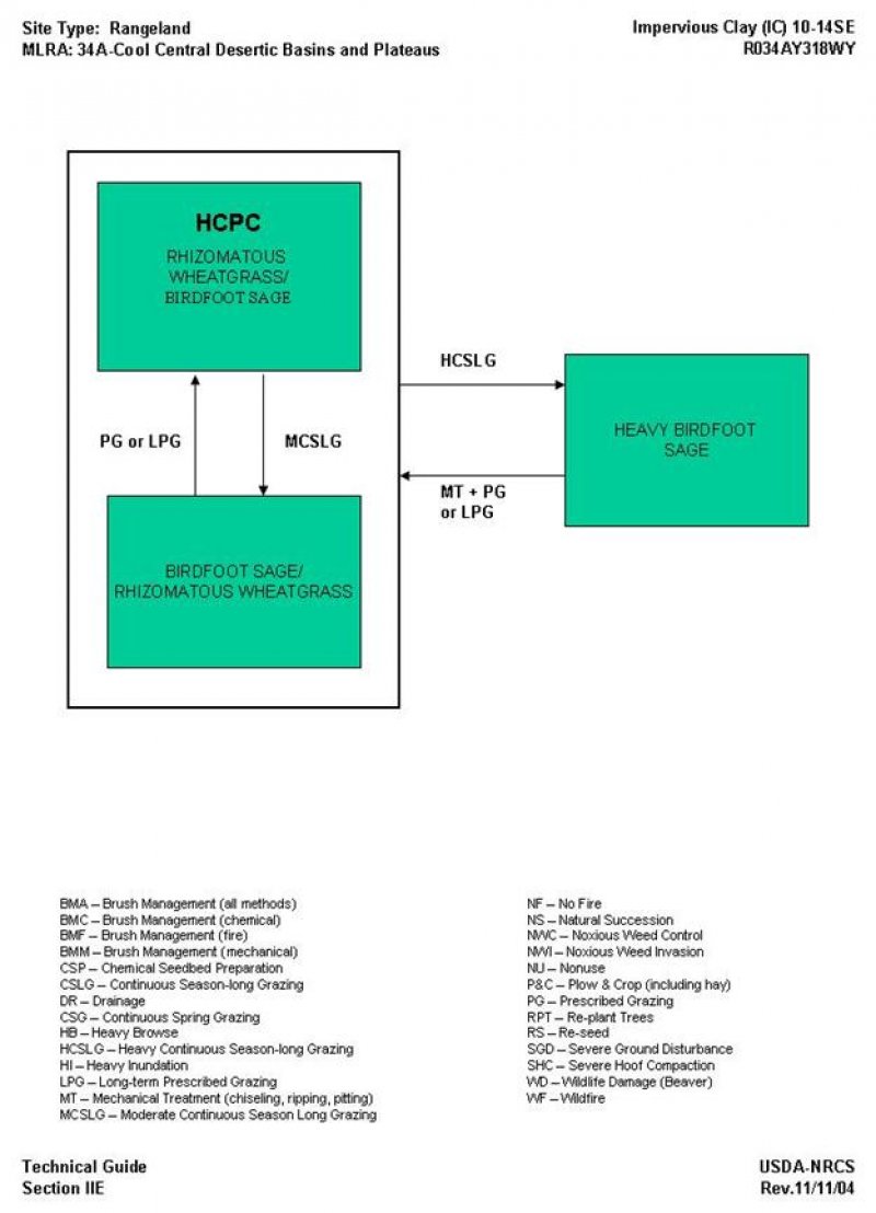 Model diagram