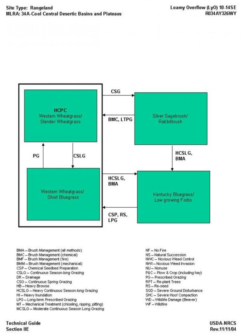 Model diagram