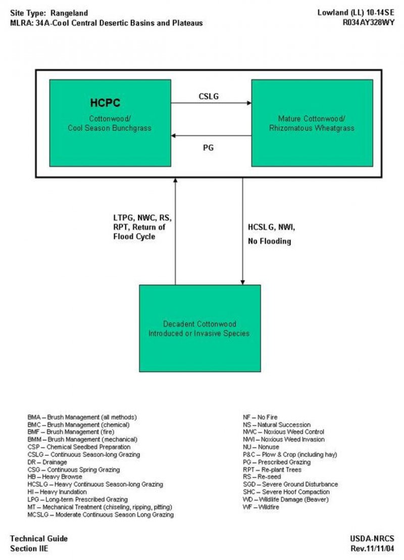 Model diagram