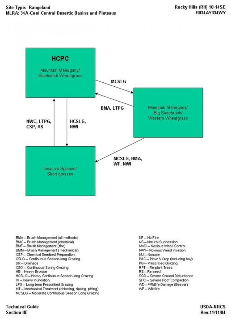 Model diagram