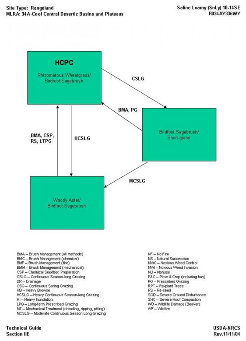 Model diagram