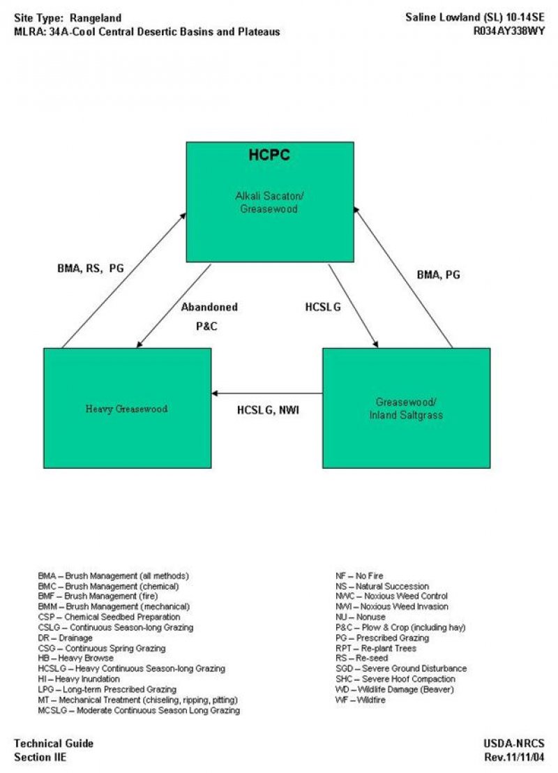 Model diagram