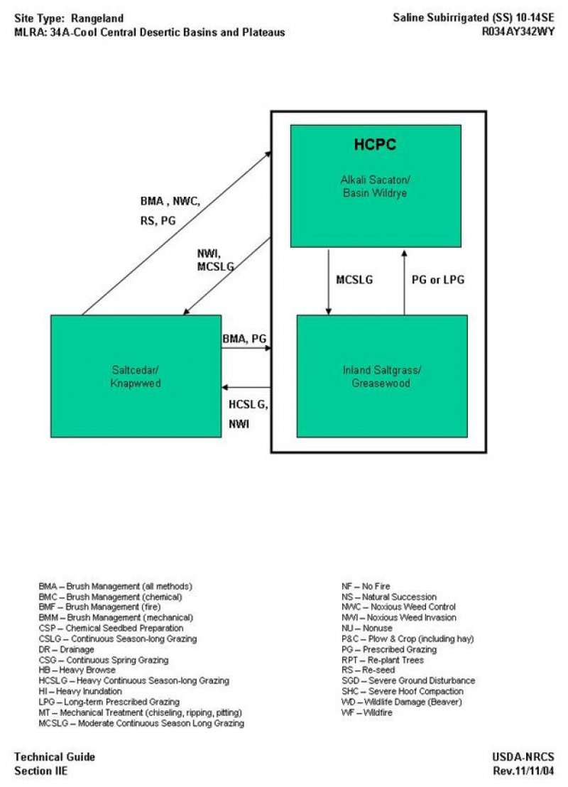 Model diagram