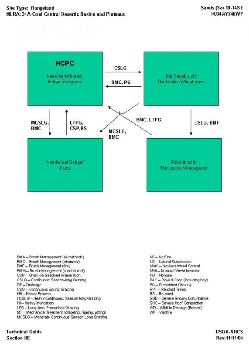 Model diagram