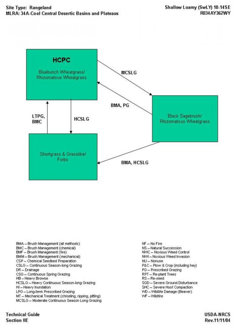 Model diagram