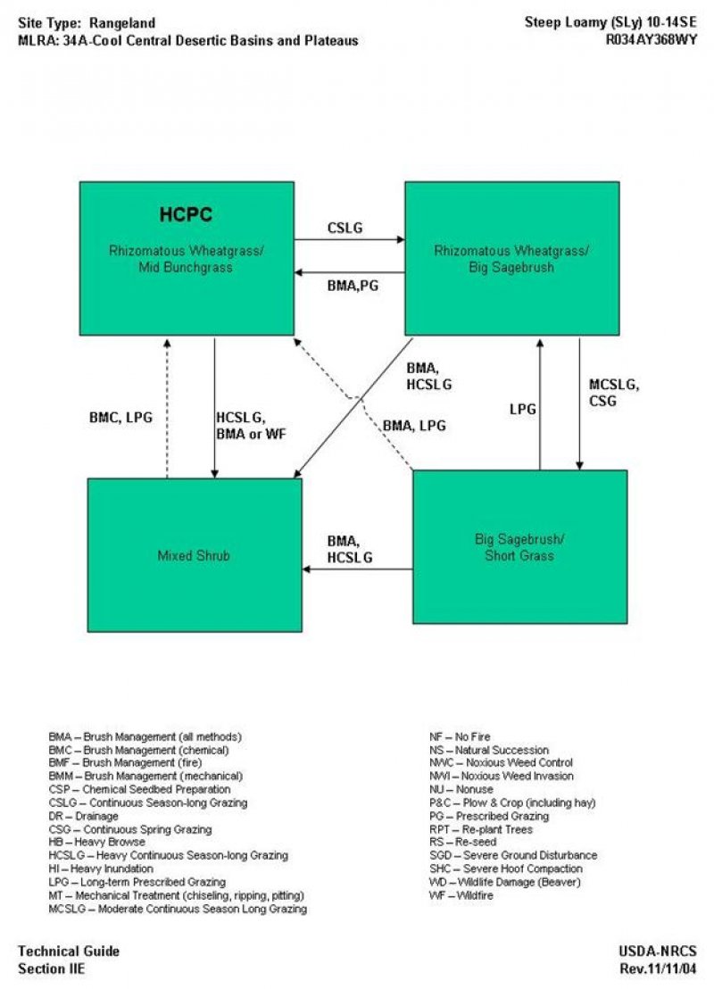 Model diagram