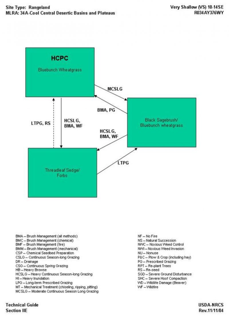 Model diagram