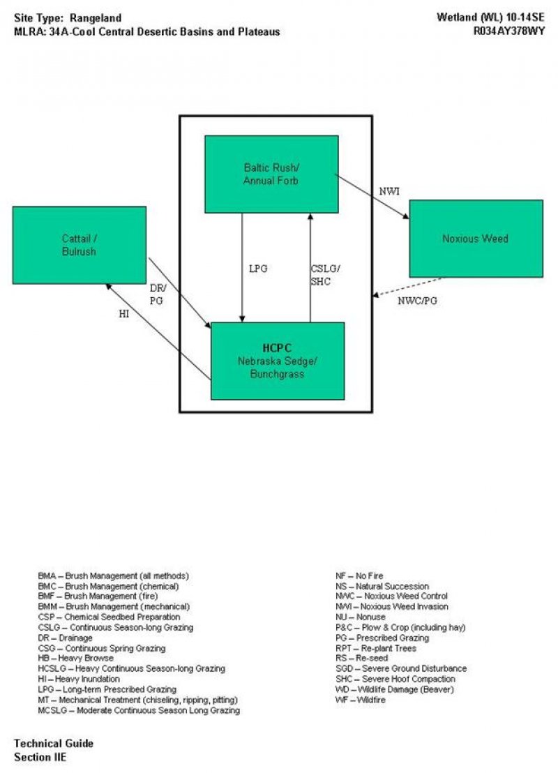 Model diagram