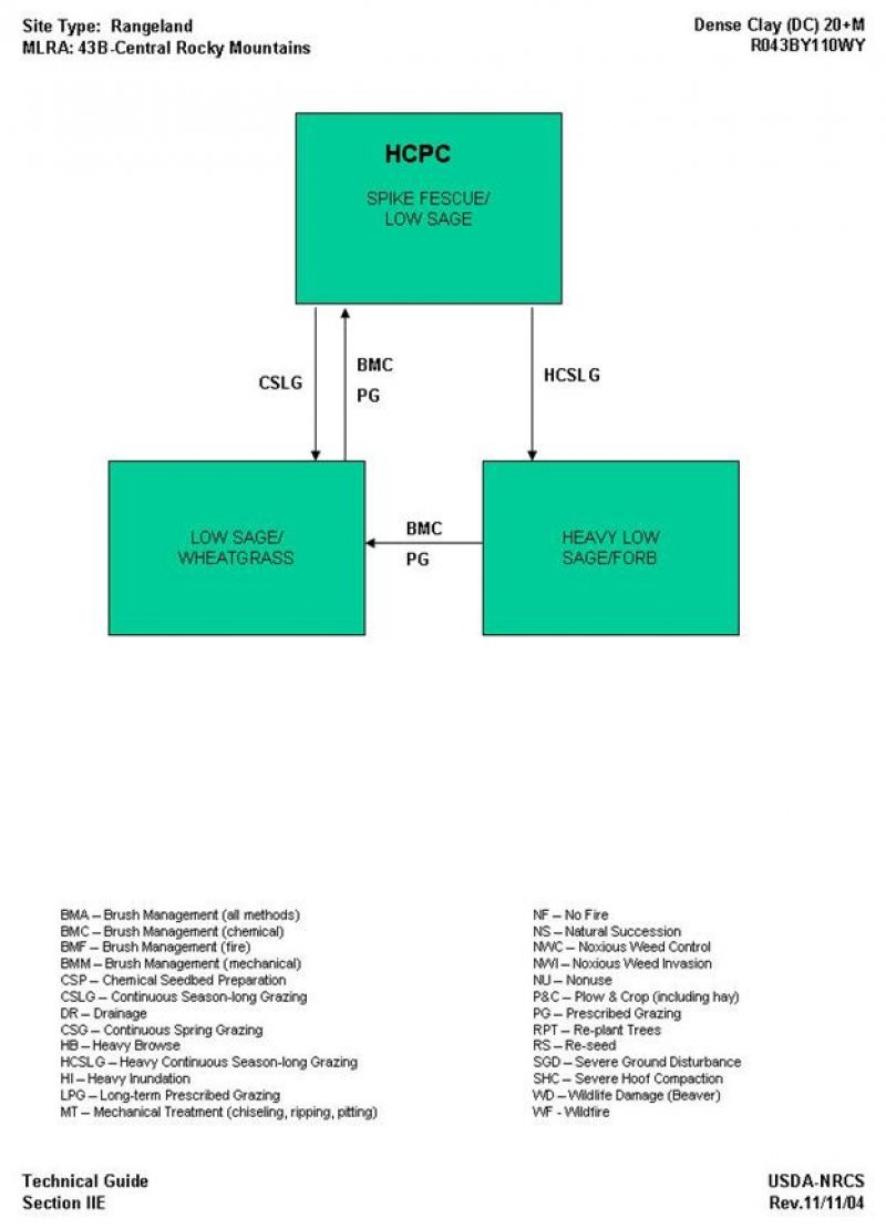 Model diagram